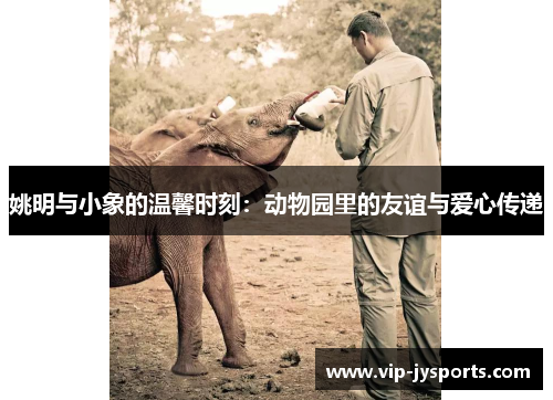 姚明与小象的温馨时刻：动物园里的友谊与爱心传递
